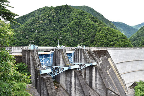 ラジアルゲート